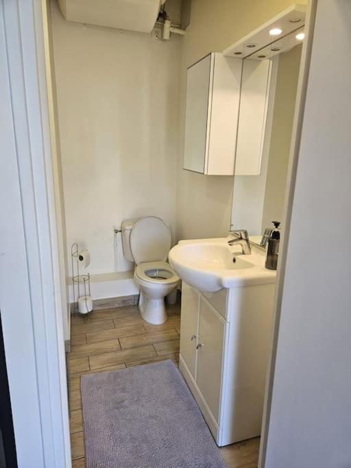 Beautiful F2 Apartment 5 Stops By Train From Paris Moret-sur-Loing Extérieur photo